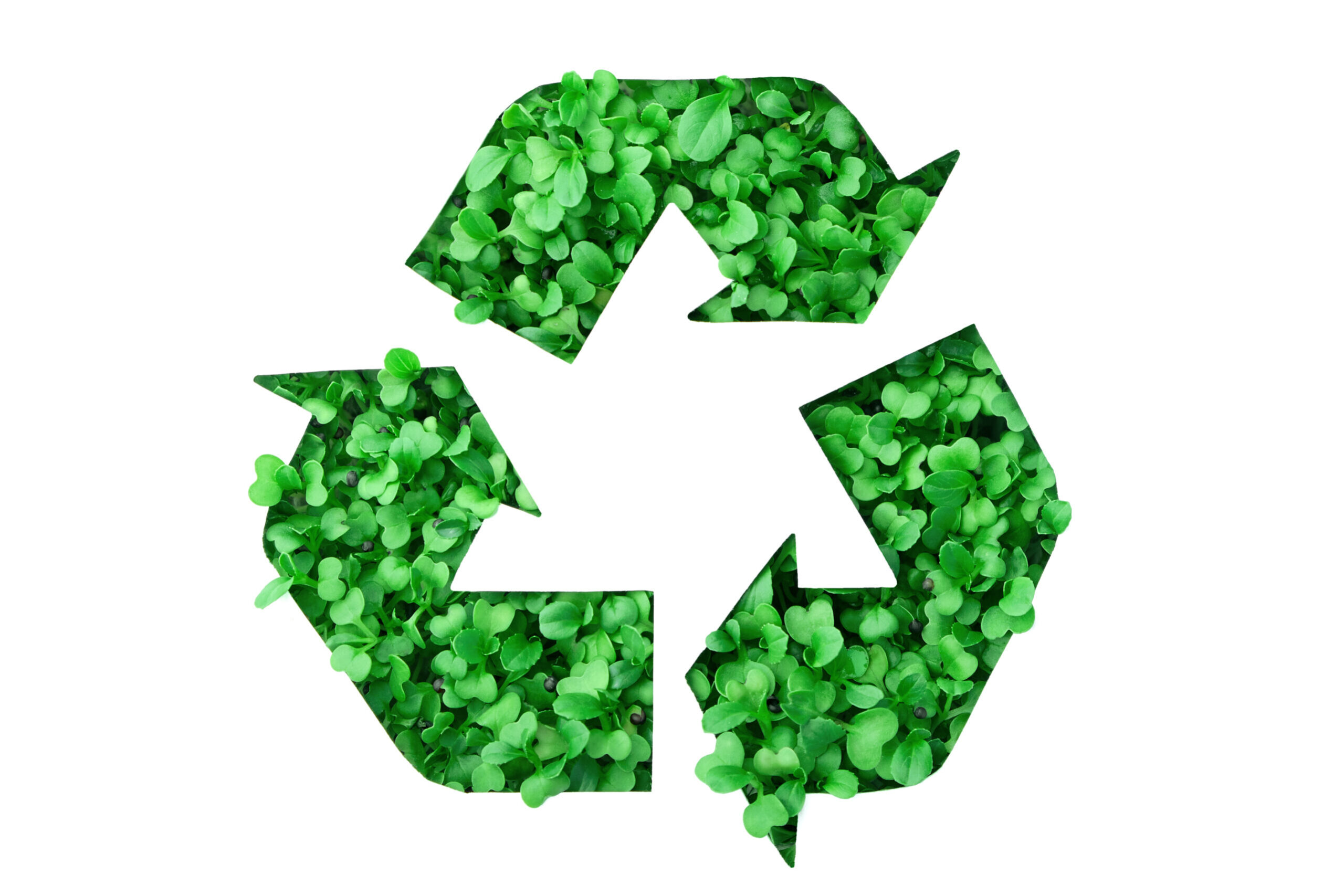 https://powertrans.soonaik.com/wp-content/uploads/2024/04/Biowaste-Recycle-Solutions-1-scaled-2560x1707.jpg